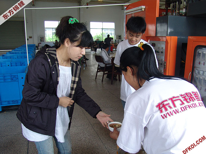 20075 ϺڶƷᱨ