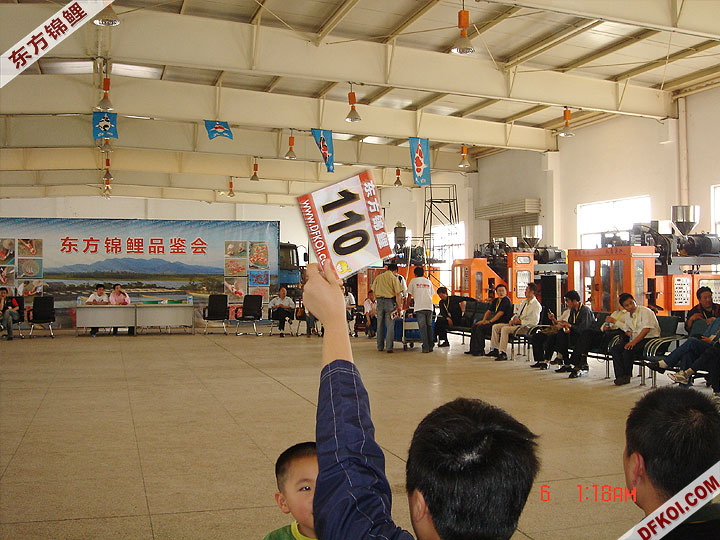 20075 ϺڶƷᱨ