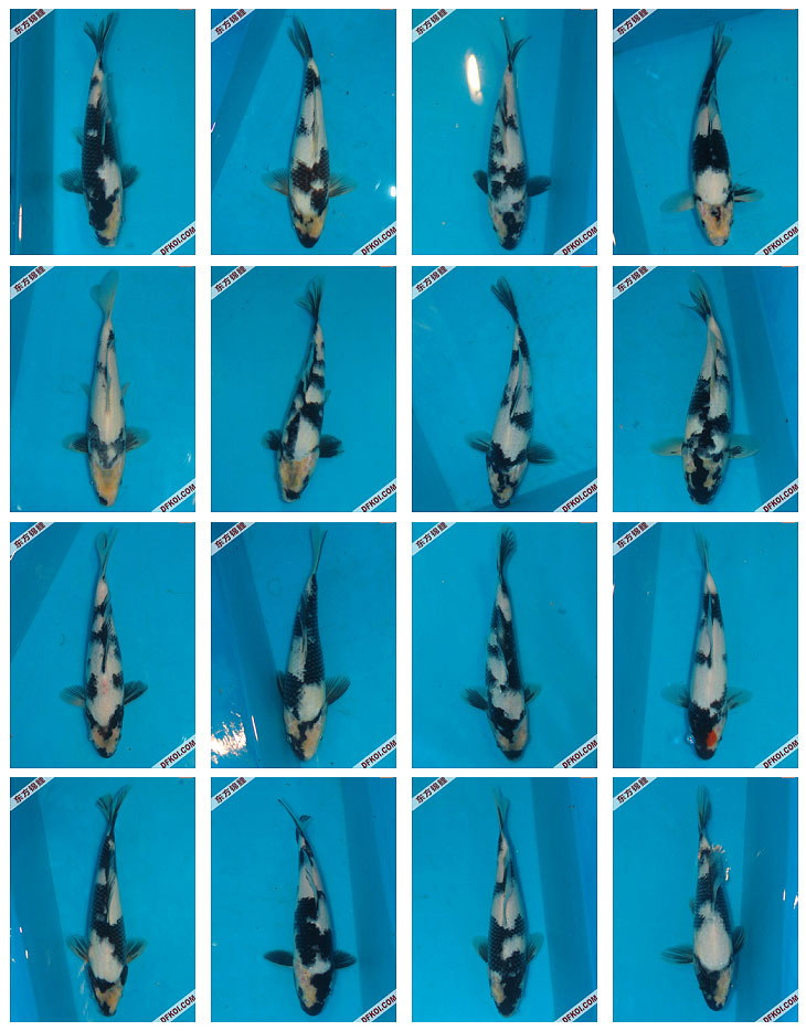 ֲμ200710±ƷĽƬ