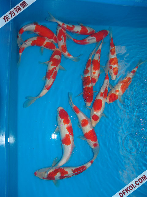 200710 ϺƷᱨ